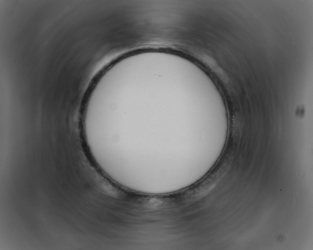 X0000101391412200807280927