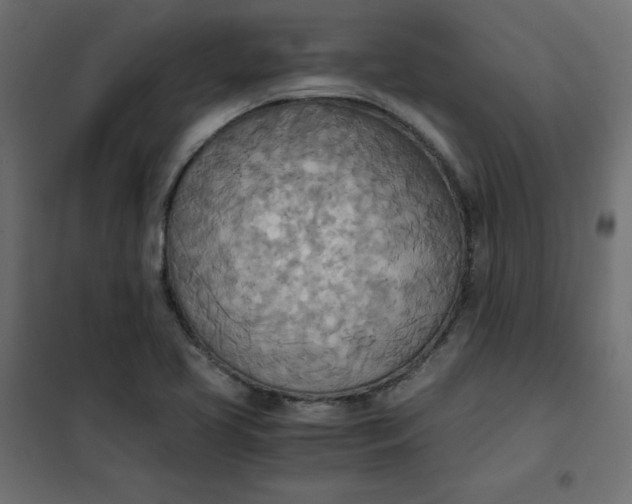 X0000101391413200807280927