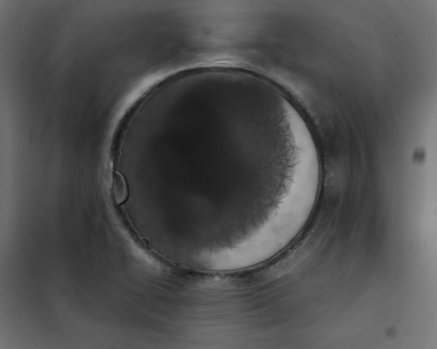 X0000101391414200807280927