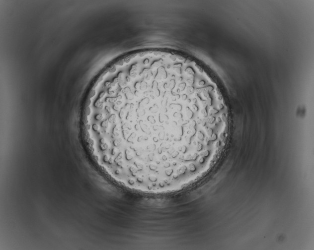 X0000101391415200807280927