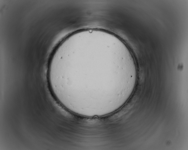 X0000101391416200807280927