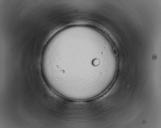 X0000101391417200807280927