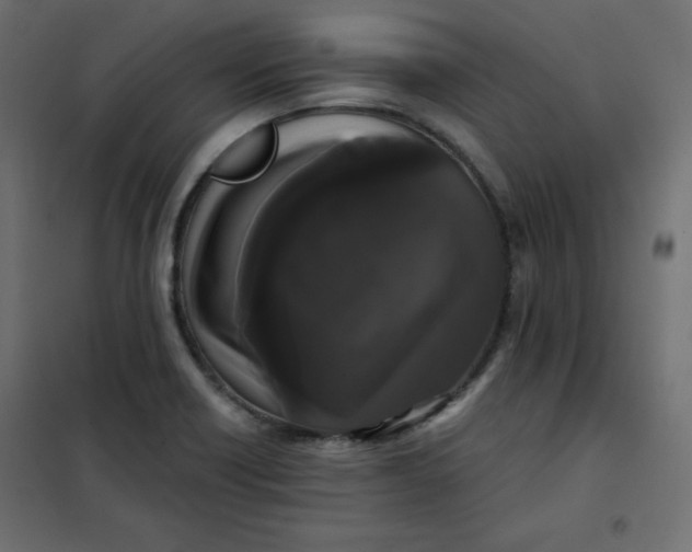 X0000101391418200807280927