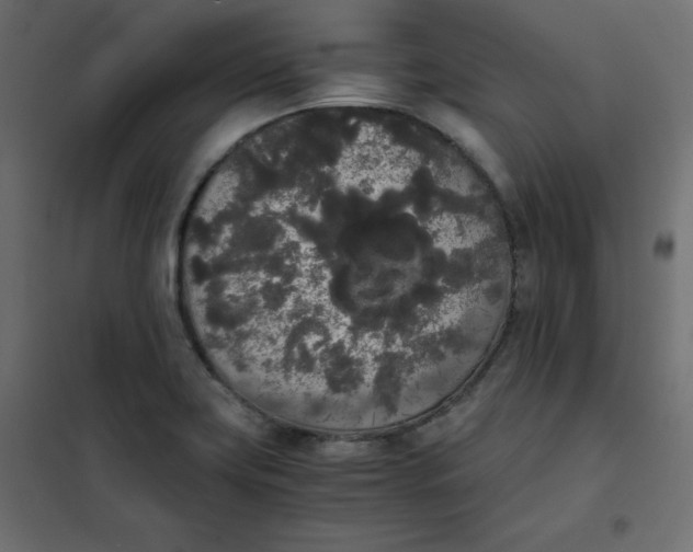 X0000101391419200807280927