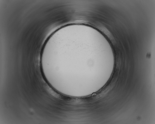 X0000101391420200807280927