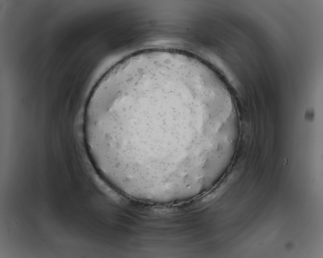 X0000101391421200807280927