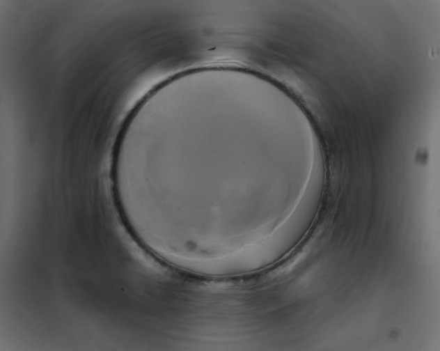 X0000101391422200807280927