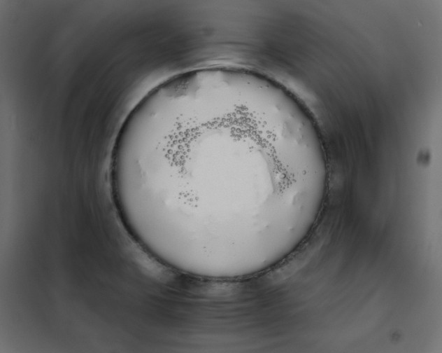 X0000101391423200807280927