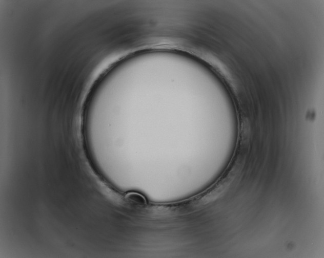 X0000101391424200807280927