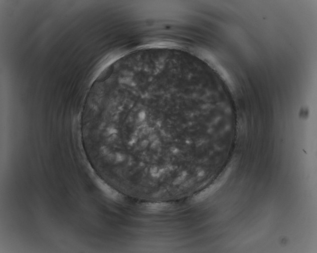 X0000101391425200807280927