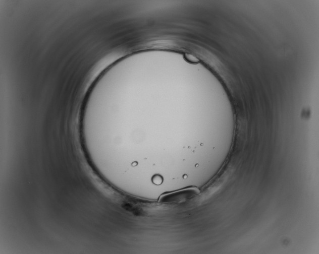 X0000101391426200807280927