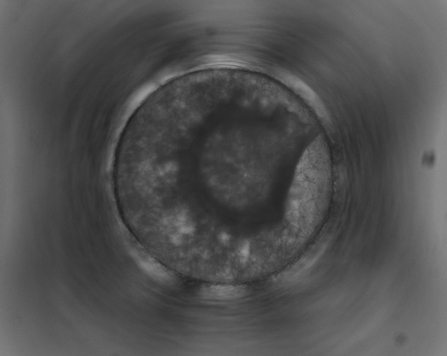 X0000101391427200807280927