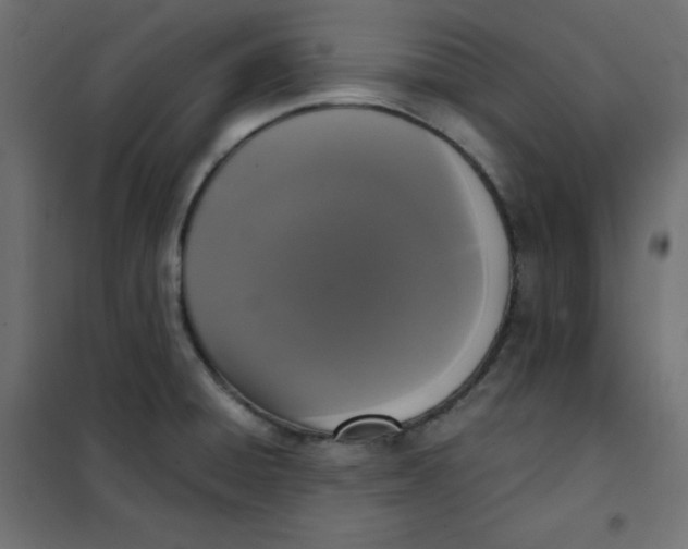 X0000101391428200807280927