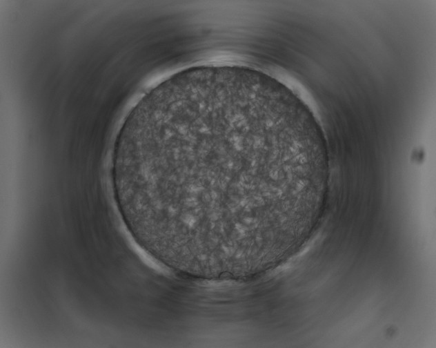 X0000101391429200807280927