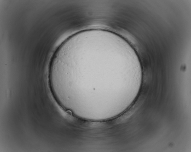 X0000101391430200807280927