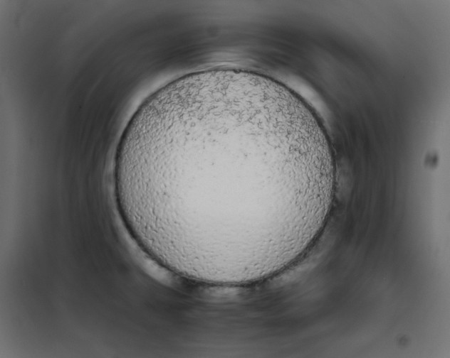 X0000101391431200807280927