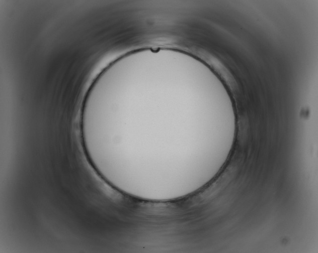 X0000101391432200807280927