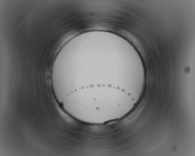 X0000101391433200807280927