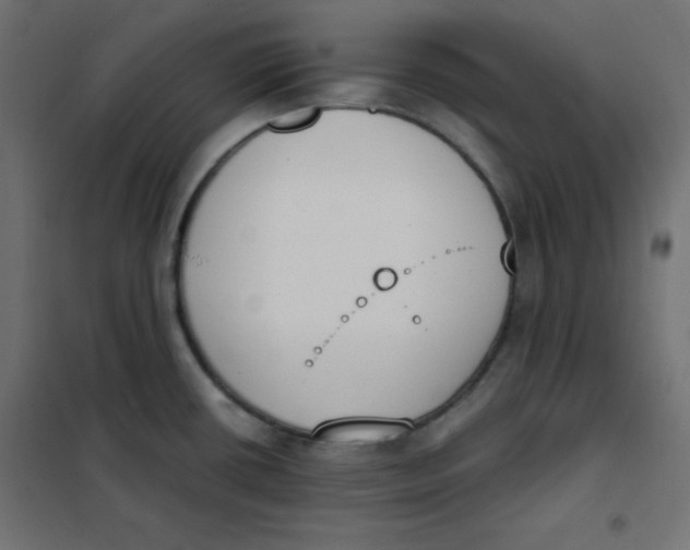 X0000101391434200807280927