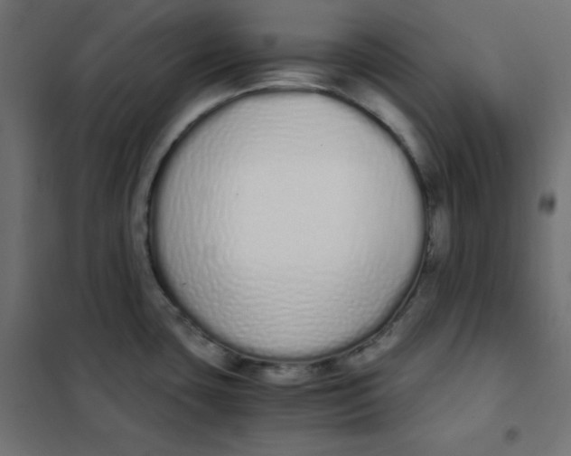 X0000101391435200807280927