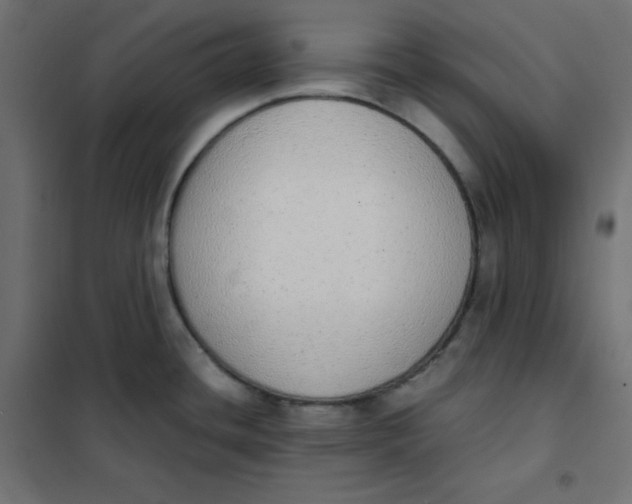 X0000101391436200807280927