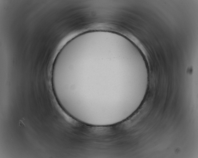 X0000101391437200807280927