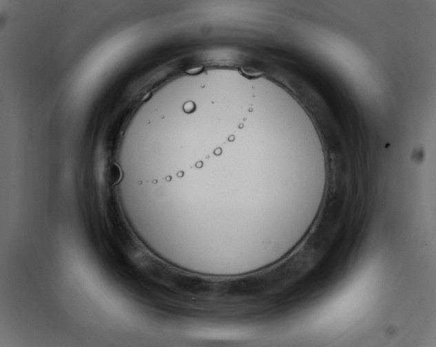 X0000101391438200807280927