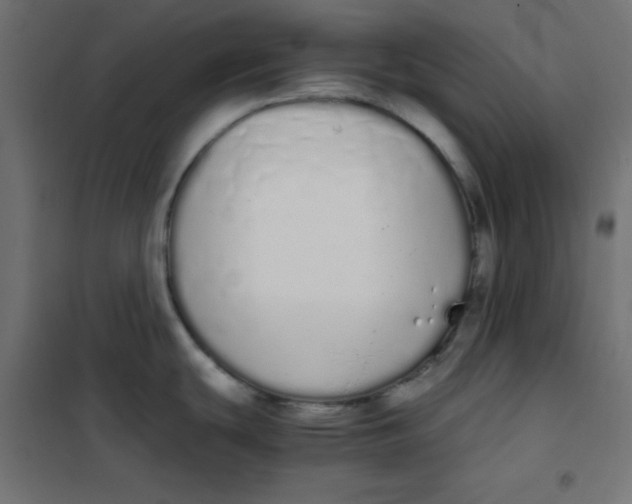 X0000101391439200807280927