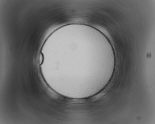 X0000101391440200807280927