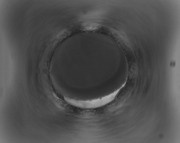 X0000101391441200807280927