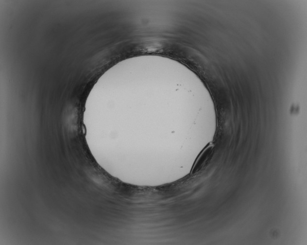 X0000101391442200807280927