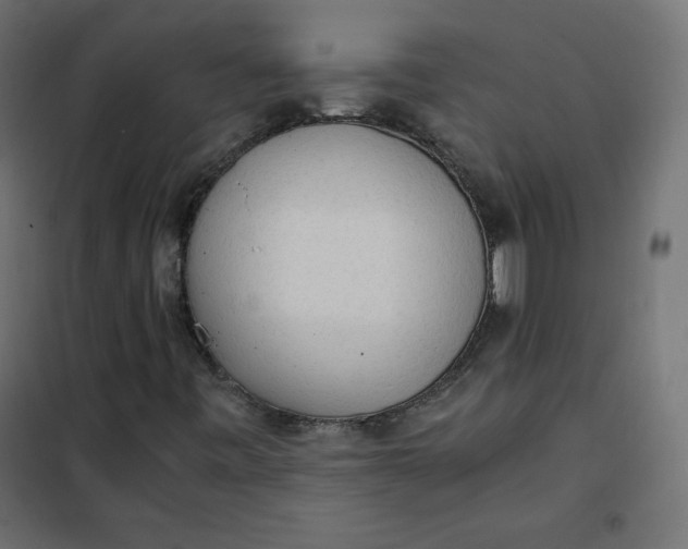 X0000101391443200807280927