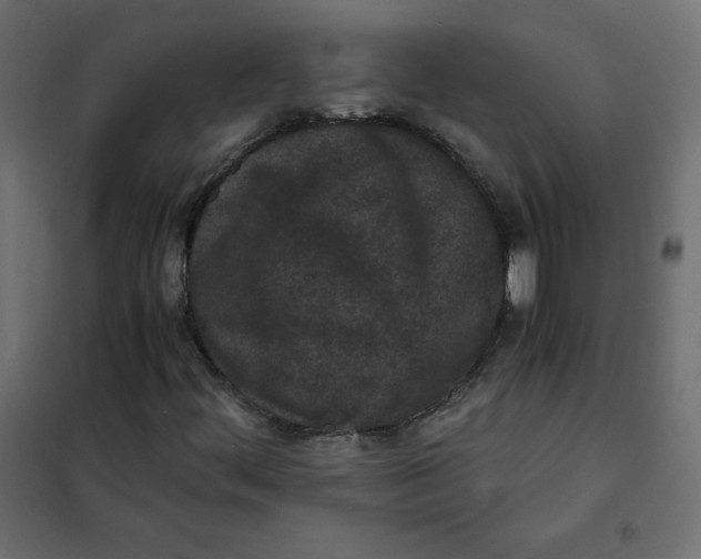 X0000101391444200807280927