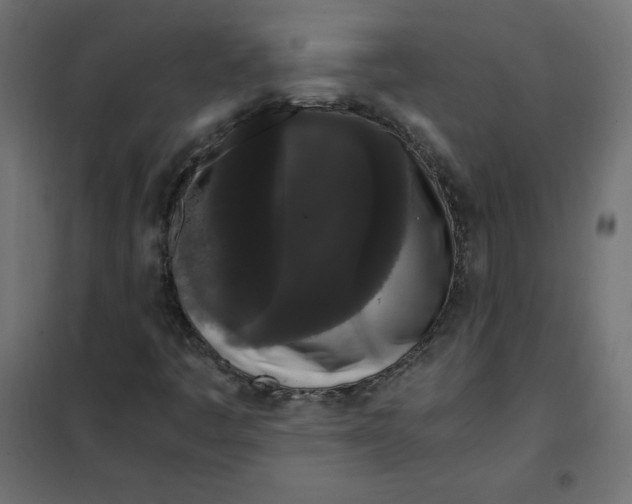 X0000101391445200807280926