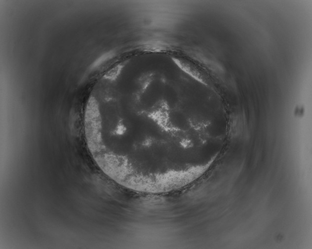 X0000101391446200807280926