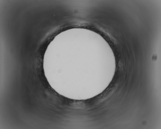 X0000101391447200807280926