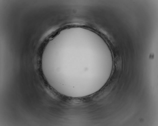 X0000101391448200807280926