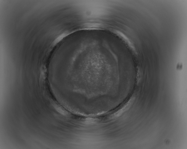 X0000101391449200807280926