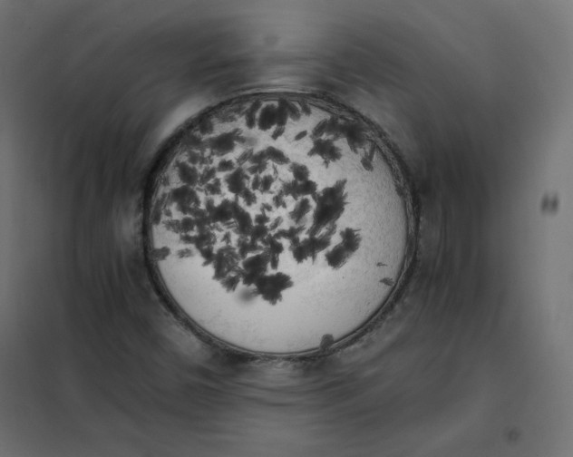 X0000101391450200807280926