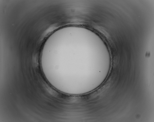 X0000101391451200807280926