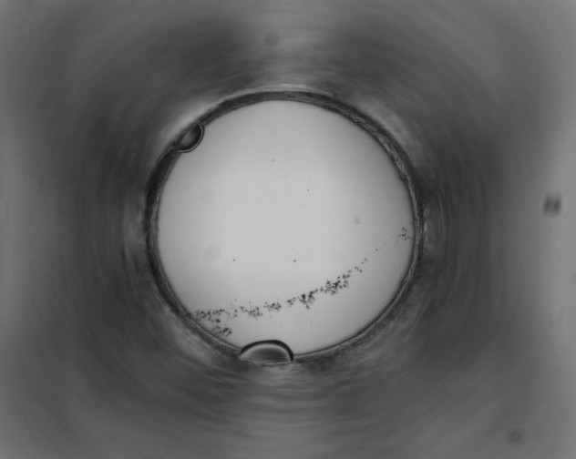 X0000101391452200807280926