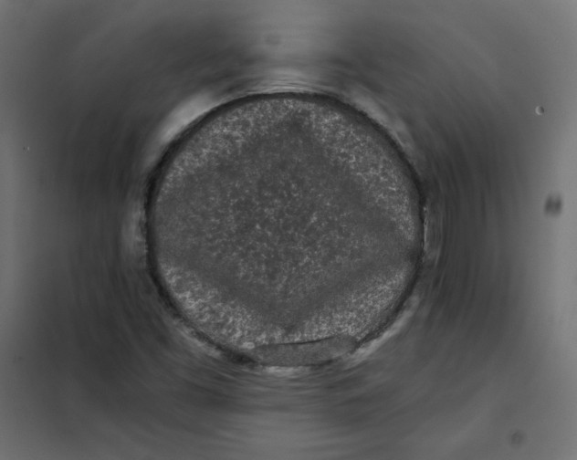 X0000101391453200807280926