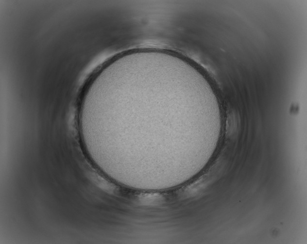 X0000101391454200807280926