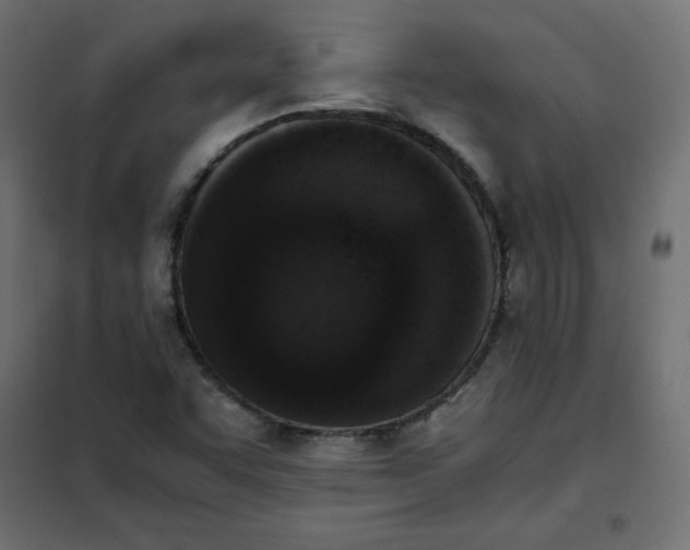 X0000101391455200807280926