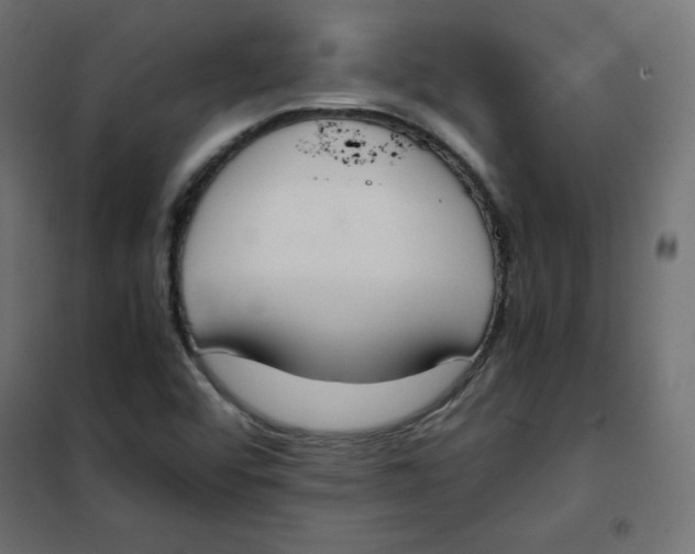 X0000101391456200807280926