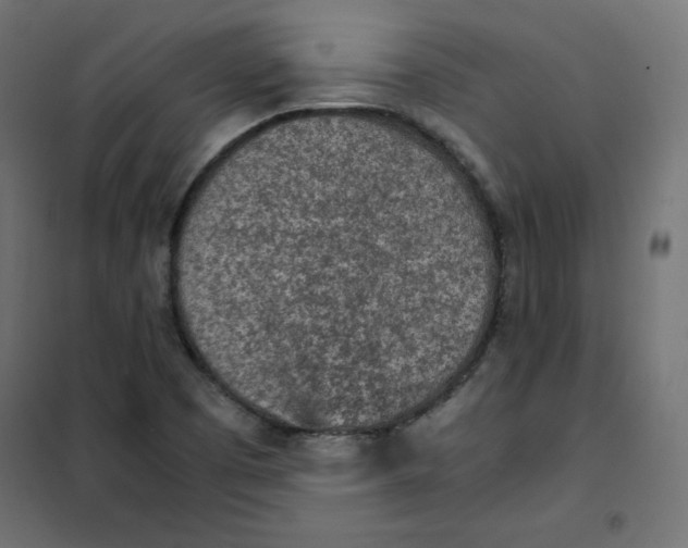 X0000101391457200807280926