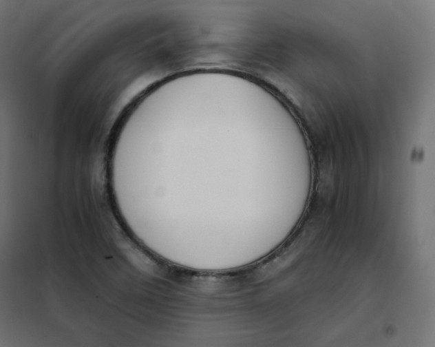 X0000101391458200807280926