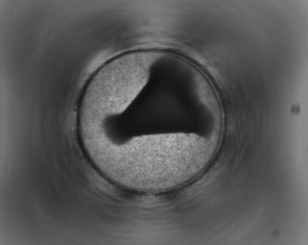 X0000101391459200807280926