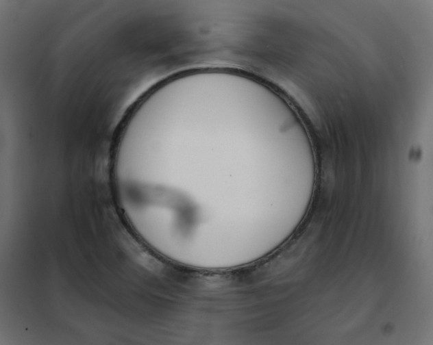 X0000101391460200807280926