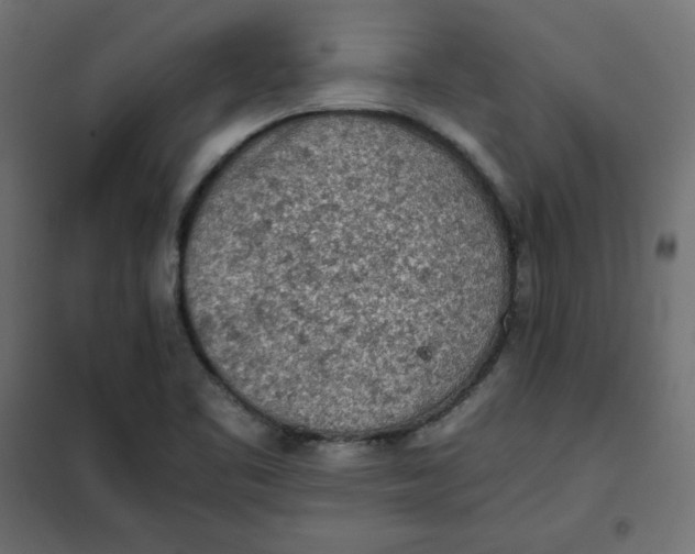 X0000101391461200807280926